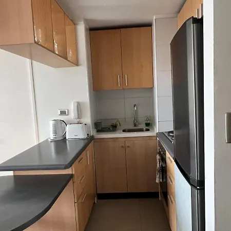 Departamento Amoblado En Parque Urbano Apartment Concepcion Exterior photo